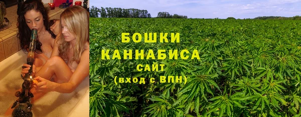 винт Аркадак