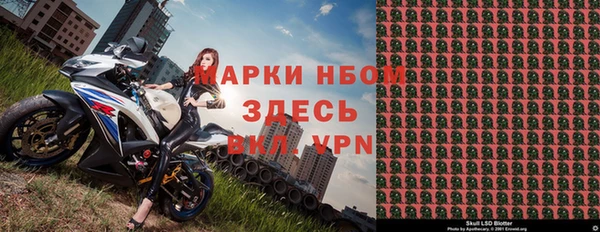 стаф Балахна