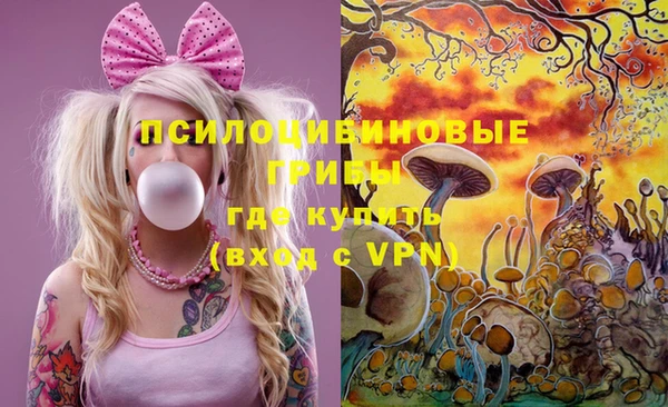 стаф Балахна
