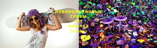 винт Аркадак