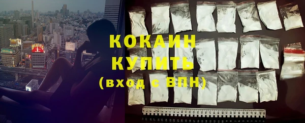 стаф Балахна