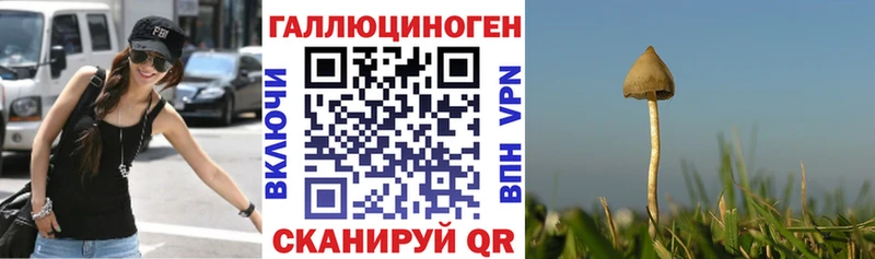 Псилоцибиновые грибы мухоморы  где найти   Торжок 